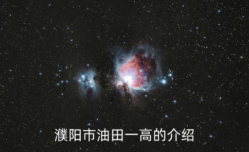 濮陽市油田一高的介紹