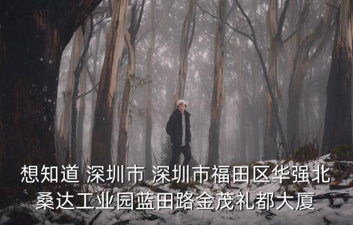 想知道 深圳市 深圳市福田區(qū)華強(qiáng)北桑達(dá)工業(yè)園藍(lán)田路金茂禮都大廈