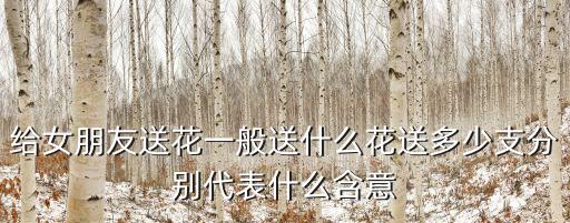 給女朋友送花一般送什么花送多少支分別代表什么含意