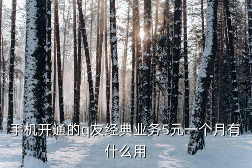 萬業湖墅金典，手機開通的q友經典業務5元一個月有什么用
