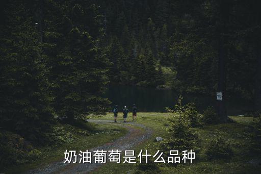 奶油葡萄是什么品種