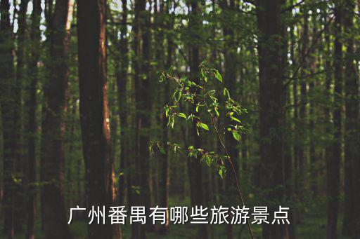 廣州番禺有哪些旅游景點(diǎn)