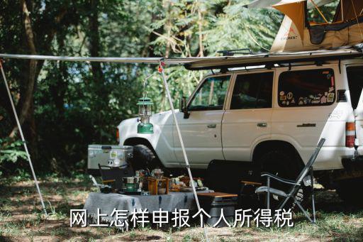 網(wǎng)上怎樣申報(bào)個(gè)人所得稅