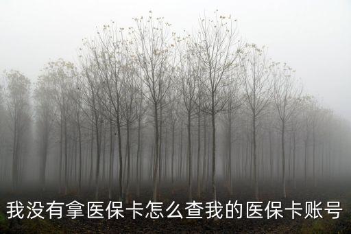 我沒有拿醫(yī)保卡怎么查我的醫(yī)保卡賬號