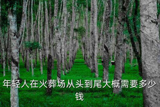 年輕人在火葬場從頭到尾大概需要多少錢