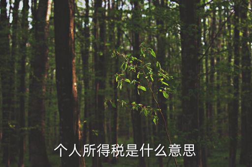 個人所得稅是什么意思