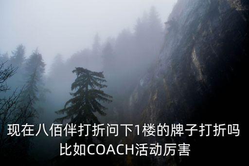 現在八佰伴打折問下1樓的牌子打折嗎比如COACH活動厲害