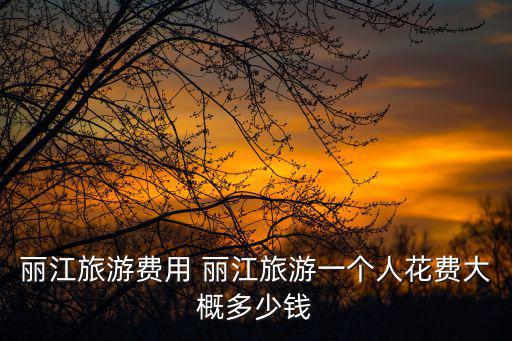 麗江旅游費用 麗江旅游一個人花費大概多少錢