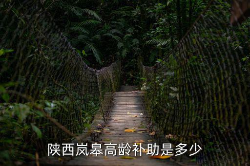 陜西高齡，陜西嵐皋高齡補助是多少