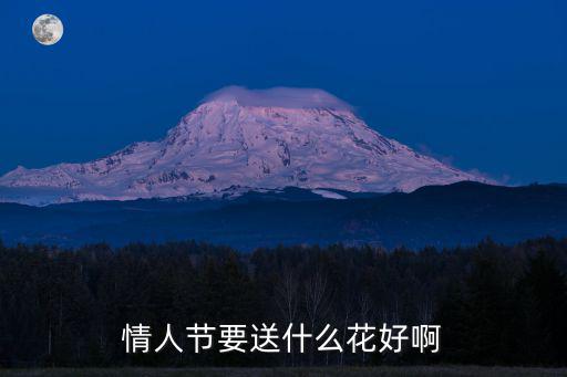 情人節要送什么花好啊