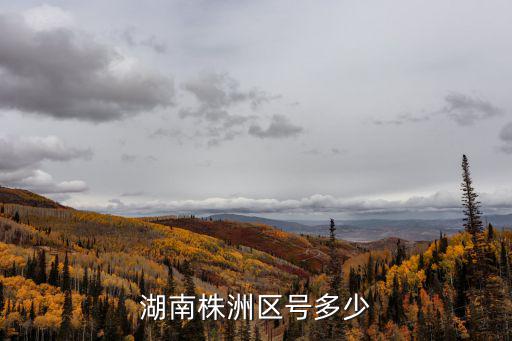 湖南株洲區號多少