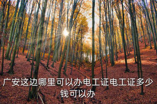 廣安這邊哪里可以辦電工證電工證多少錢可以辦