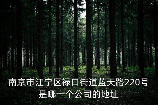 南京市江寧區祿口街道藍天路220號是哪一個公司的地址
