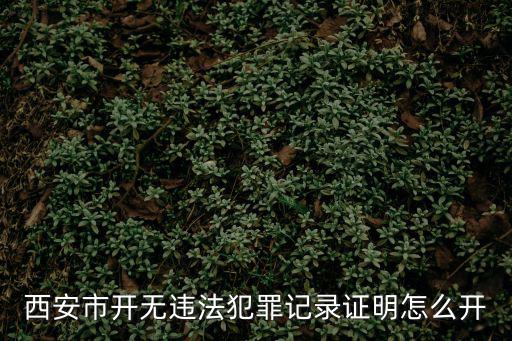 西安市開無違法犯罪記錄證明怎么開