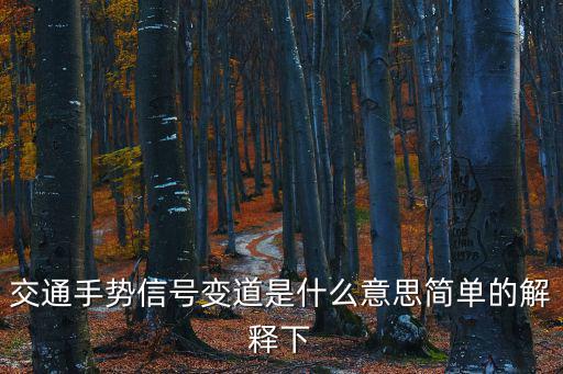 交通手勢信號變道是什么意思簡單的解釋下