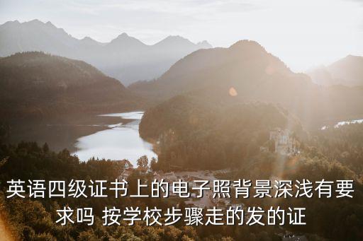 英語四級證書上的電子照背景深淺有要求嗎 按學校步驟走的發(fā)的證