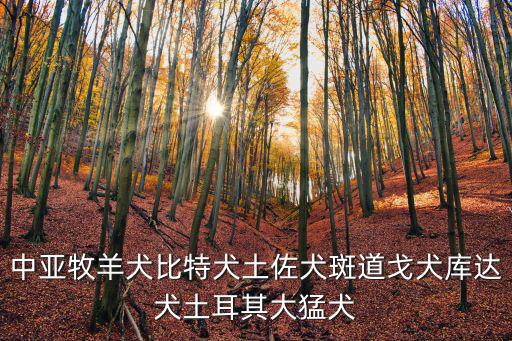 中亞牧羊犬比特犬土佐犬斑道戈犬庫(kù)達(dá)犬土耳其大猛犬