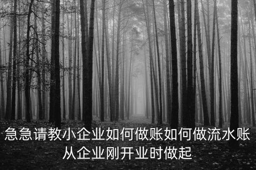 511324，急急請教小企業如何做賬如何做流水賬從企業剛開業時做起