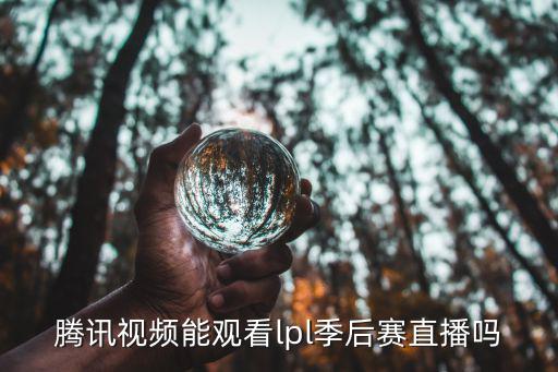 騰訊視頻能觀看lpl季后賽直播嗎