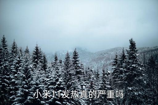 小米11發(fā)熱真的嚴重嗎