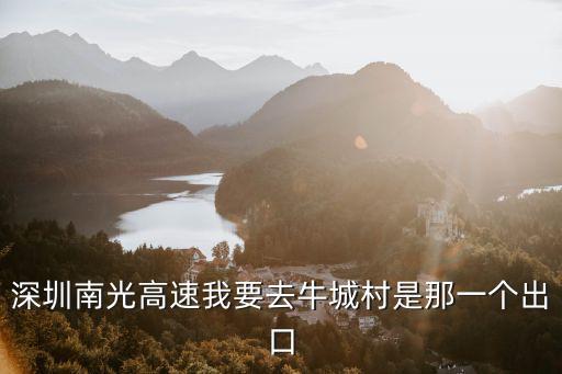 深圳南光高速我要去牛城村是那一個出口
