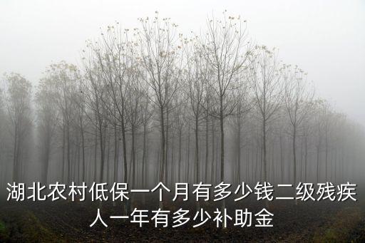 湖北農(nóng)村低保一個月有多少錢二級殘疾人一年有多少補助金
