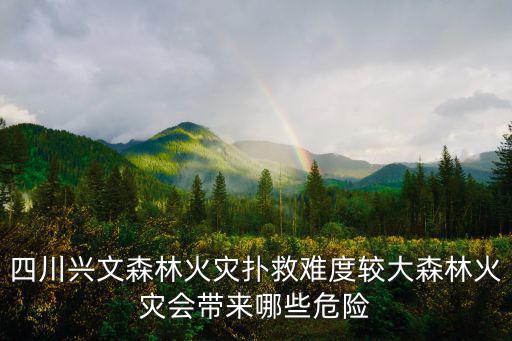 四川興文森林火災(zāi)撲救難度較大森林火災(zāi)會帶來哪些危險