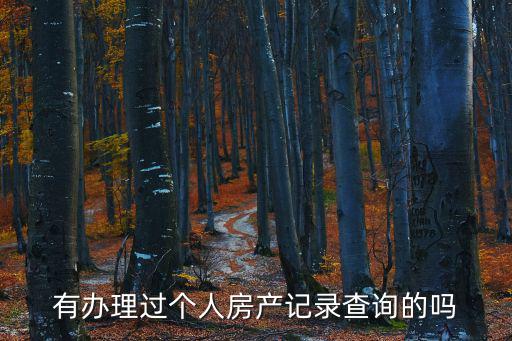 有辦理過個人房產(chǎn)記錄查詢的嗎