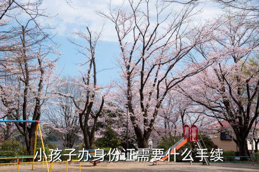 小孩身份證怎么辦理，小孩身份證怎么辦理