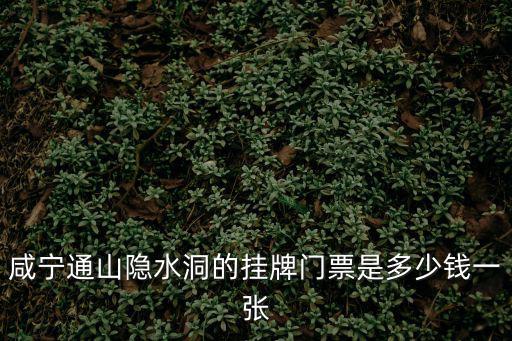 隱水洞門票，咸寧通山隱水洞的掛牌門票是多少錢一張