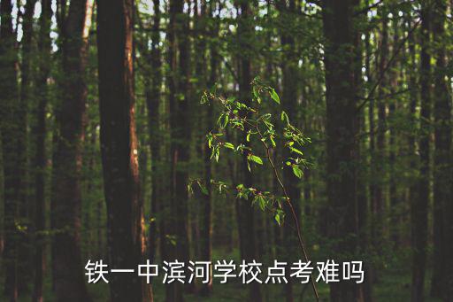 鐵一中濱河學(xué)校點考難嗎