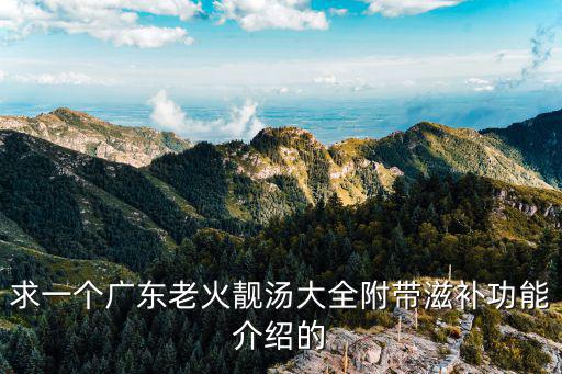 求一個廣東老火靚湯大全附帶滋補功能介紹的