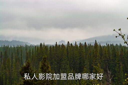 私人影院加盟品牌哪家好