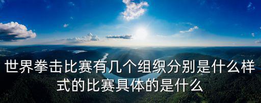 世界拳擊比賽有幾個組織分別是什么樣式的比賽具體的是什么