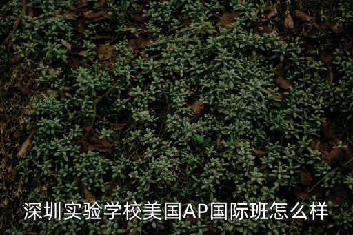 深圳實驗學校美國AP國際班怎么樣