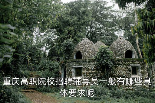 重慶高職院校招聘輔導員一般有哪些具體要求呢