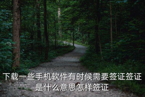下載一些手機(jī)軟件有時(shí)候需要簽證簽證是什么意思怎樣簽證