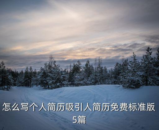 怎么寫(xiě)個(gè)人簡(jiǎn)歷吸引人簡(jiǎn)歷免費(fèi)標(biāo)準(zhǔn)版5篇