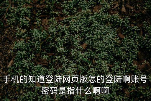 手機的知道登陸網頁版怎的登陸啊賬號密碼是指什么啊啊