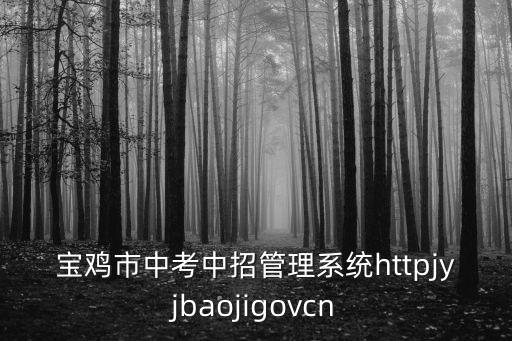 寶雞市中考中招管理系統httpjyjbaojigovcn
