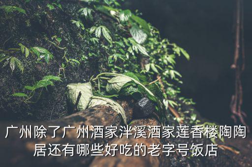 廣州除了廣州酒家泮溪酒家蓮香樓陶陶居還有哪些好吃的老字號飯店