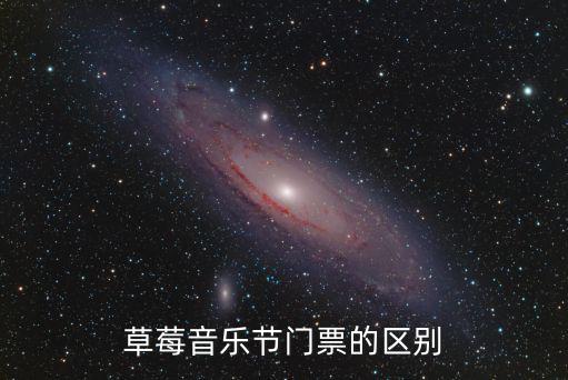 草莓音樂節門票的區別