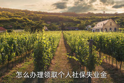 社保失業金怎么申請，怎么辦理領取個人社保失業金