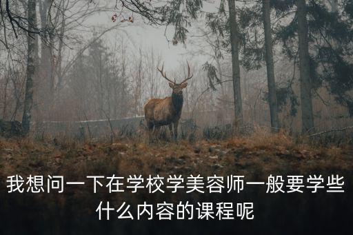我想問一下在學校學美容師一般要學些什么內容的課程呢