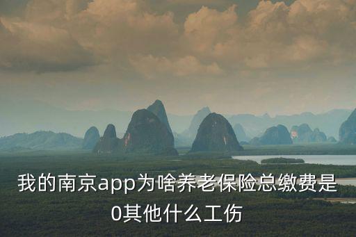我的南京app為啥養(yǎng)老保險總繳費是0其他什么工傷
