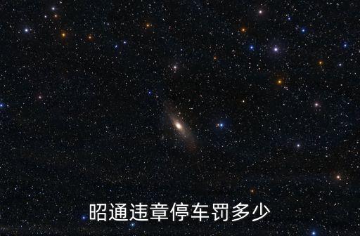 昭通違章停車罰多少