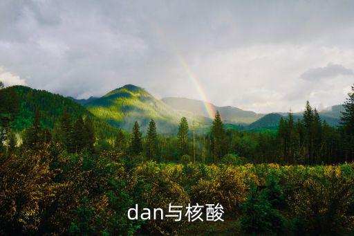 dan與核酸