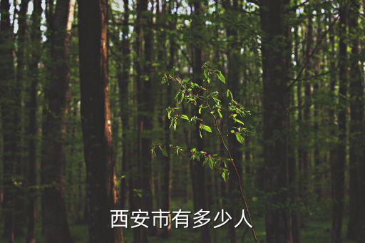 西安市有多少人
