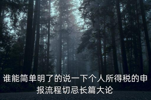 誰能簡單明了的說一下個人所得稅的申報流程切忌長篇大論