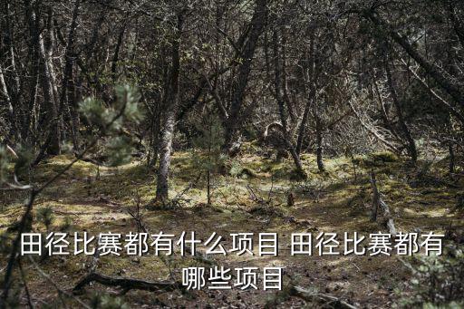 田徑比賽都有什么項目 田徑比賽都有哪些項目